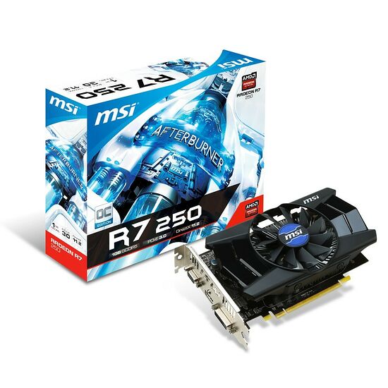 Carte Graphique MSI Radeon R7 250 OC, 1 Go