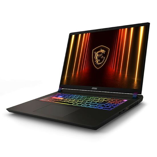 MSI Vector 17 HX AI (A2XWHG-011FR)