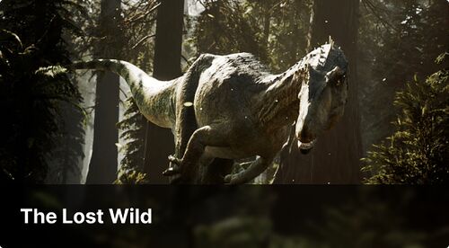 The Lost Wild