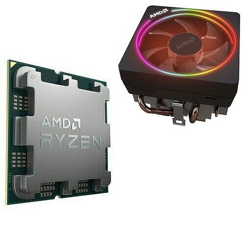 AMD Ryzen 7 7700 (3.8 GHz) - Version bulk