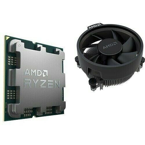 AMD Ryzen 7 7700 (3.8 GHz) - Version bulk