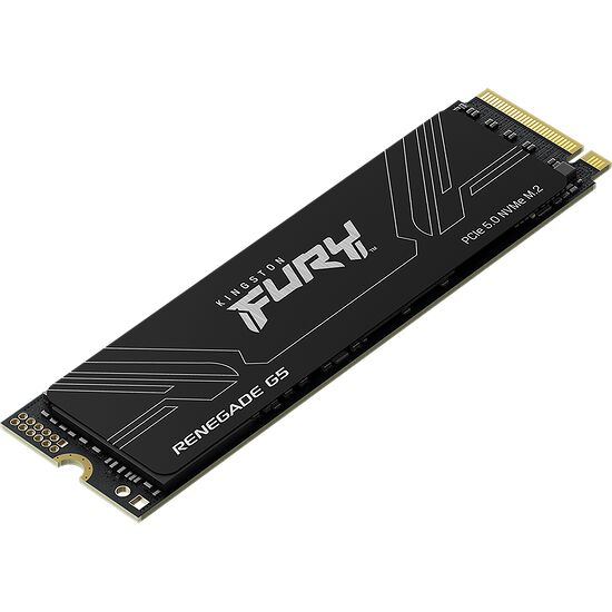 Kingston FURY Renegade G5 1 To