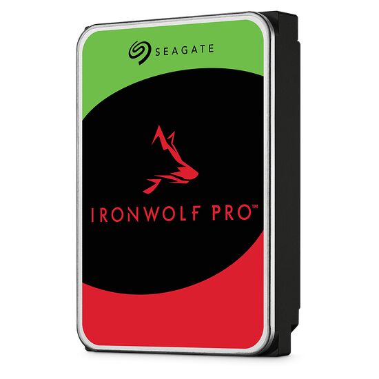 Seagate IronWolf Pro 6 To