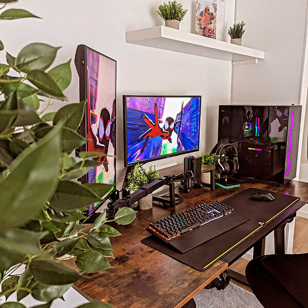 Setup d’Axel023 : bureau en bois brut, plantes, étagères et double écran