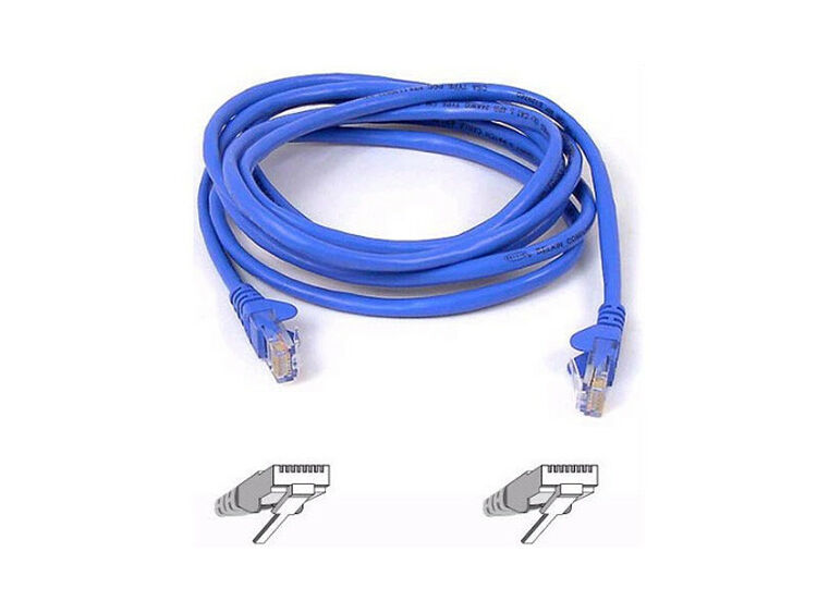 Câble réseau RJ45 CAT5e UTP anti accros, 2m, Bleu, Belkin (image:1)