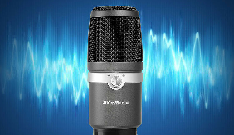 AverMedia AM310 (image:2)