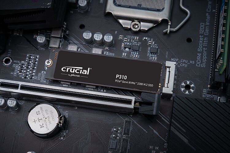 Crucial P310 500 Go (image:2)