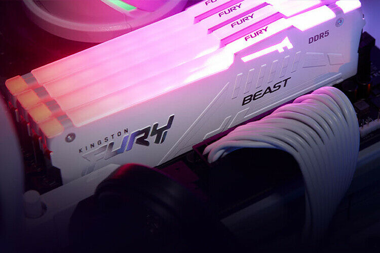 DDR5 Kingston Fury Beast White RGB - 16 Go 6000 MHz - CAS 30 (image:2)