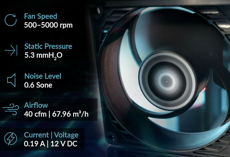 Arctic P8 Max - Noir (image:2)