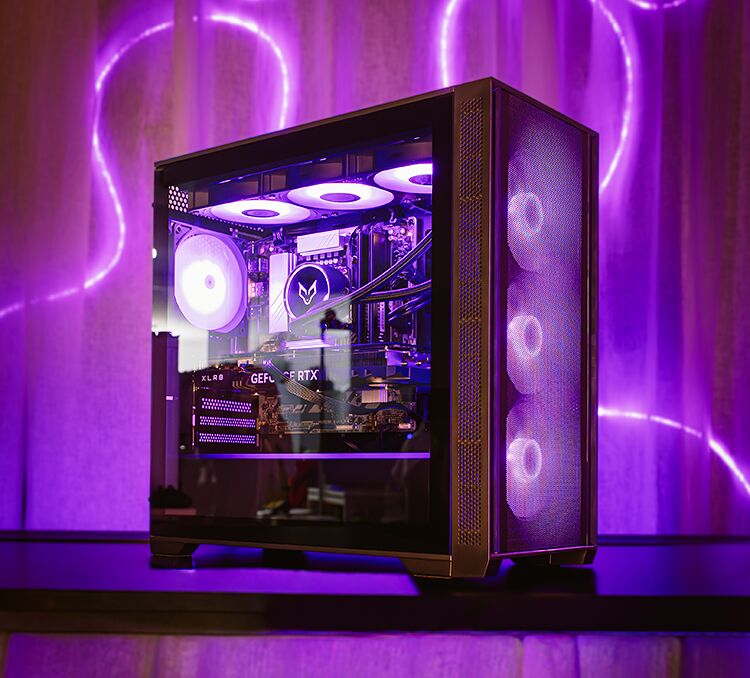 Fox Spirit MG2 - Noir (image:2)