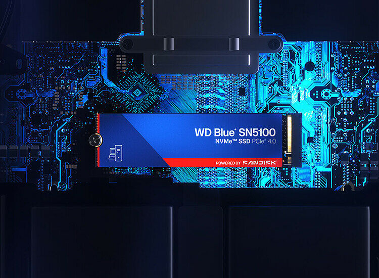 Western Digital WD Blue SN5100 1 To (image:2)
