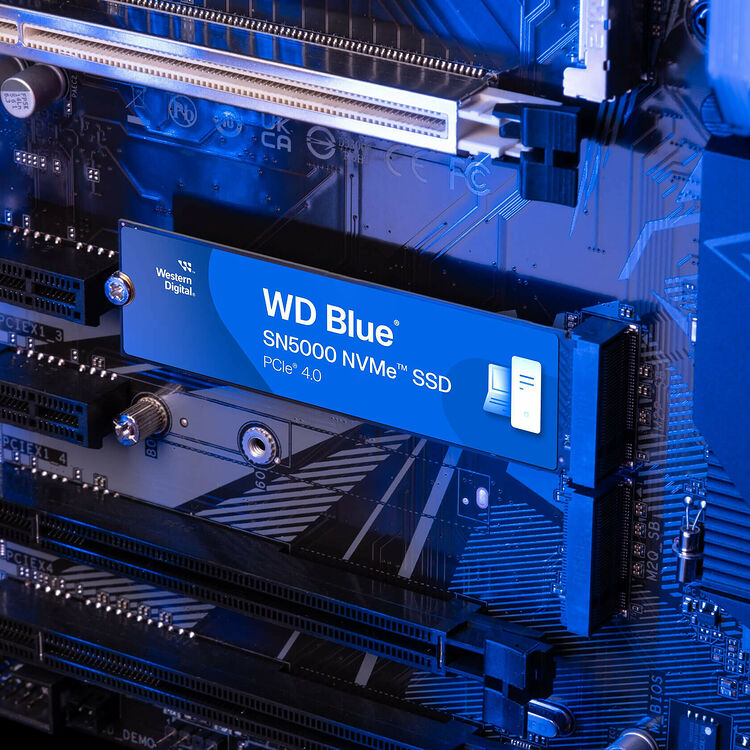 SSD NVMe WD Blue installé sur une carte mère avec un éclairage bleu.