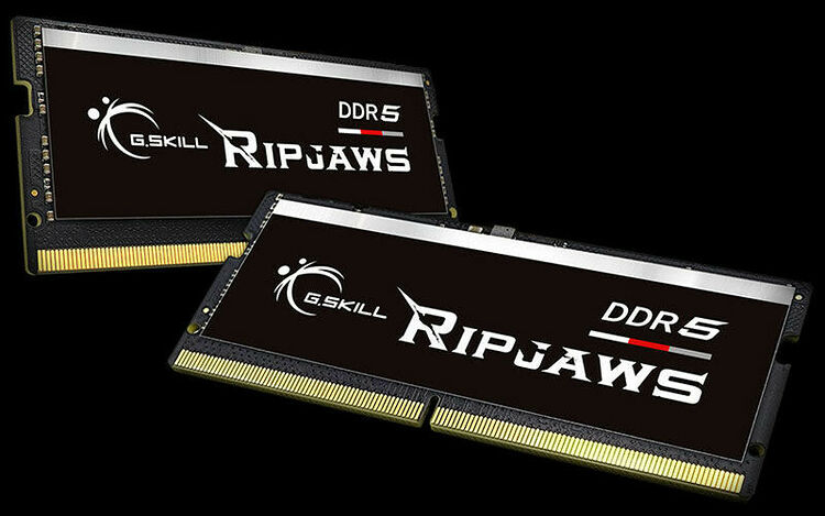 Deux barrettes de mémoire vive DDR5 G.Skill Ripjaws de couleur noire avec des détails blancs et rouges.