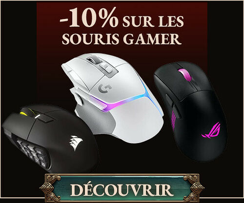 souris Gamer