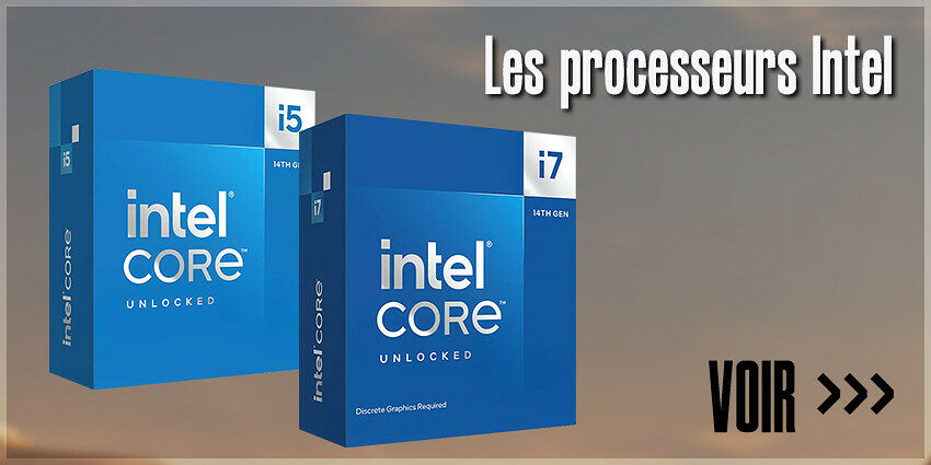 6% processeurs Intel