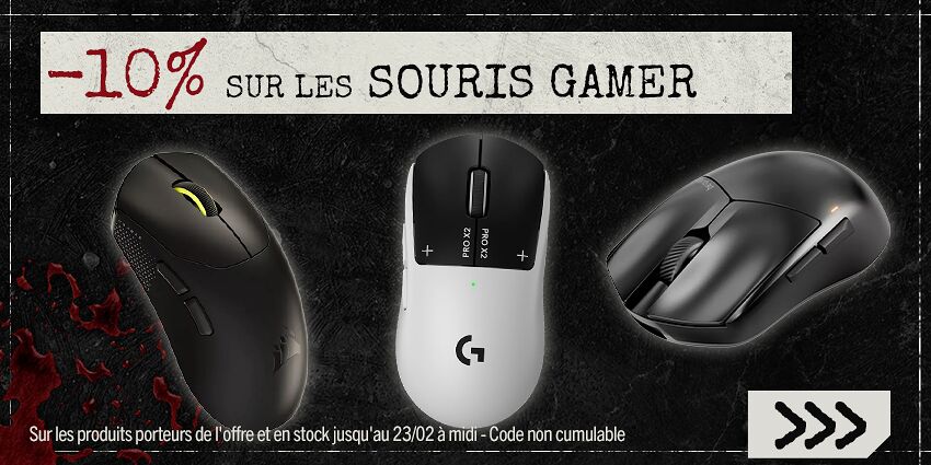 10% souris Gamer
