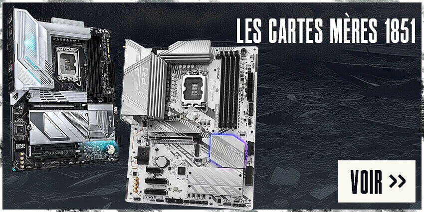 Les cartes mères 1851